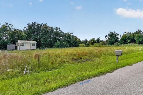 Land in Punta Gorda, Florida № 2379635 - photo 9