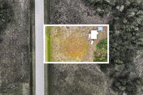 Land in Punta Gorda, Florida № 2379635 - photo 3
