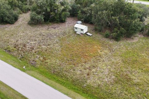 Land in Punta Gorda, Florida № 2379635 - photo 2