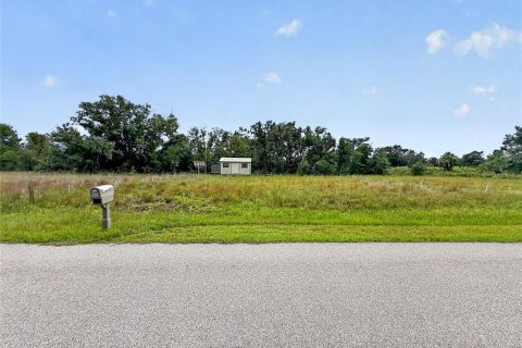 Land in Punta Gorda, Florida № 2379635 - photo 6