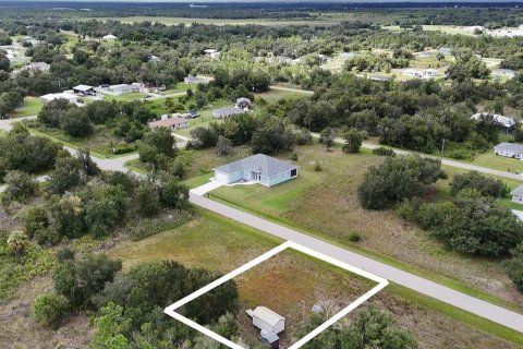 Land in Punta Gorda, Florida № 2379635 - photo 5