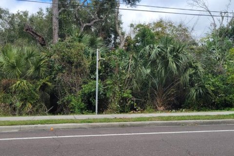 Land in Deltona, Florida № 2166732 - photo 5