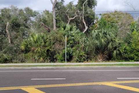 Land in Deltona, Florida № 2166732 - photo 4