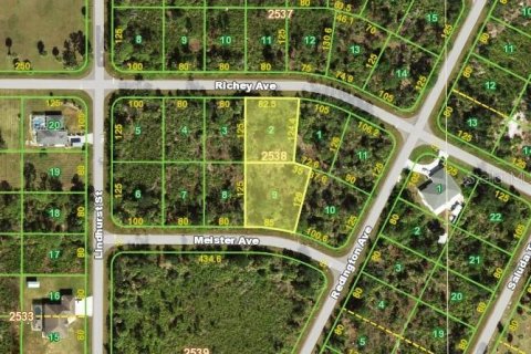 Land in Port Charlotte, Florida № 2221871 - photo 3