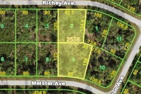 Land in Port Charlotte, Florida № 2221871 - photo 2