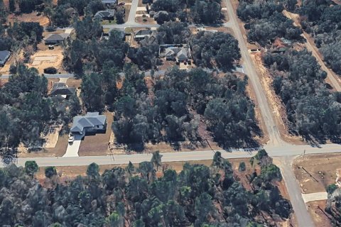 Land in Citrus Springs, Florida № 2213951 - photo 7