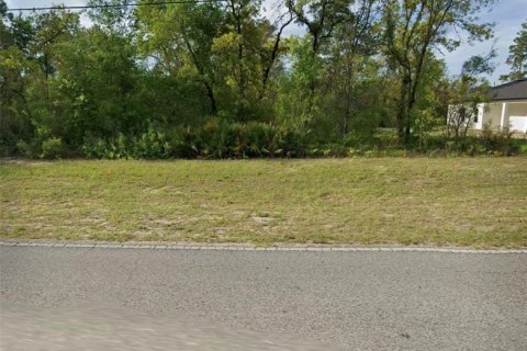 Land in Citrus Springs, Florida № 2213951 - photo 3