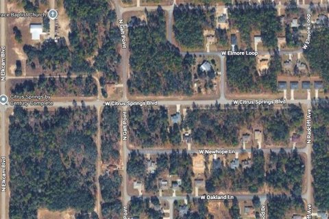 Land in Citrus Springs, Florida № 2213951 - photo 11