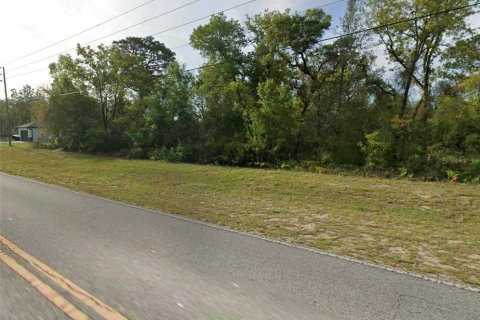Land in Citrus Springs, Florida № 2213951 - photo 5