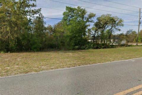 Land in Citrus Springs, Florida № 2213951 - photo 4