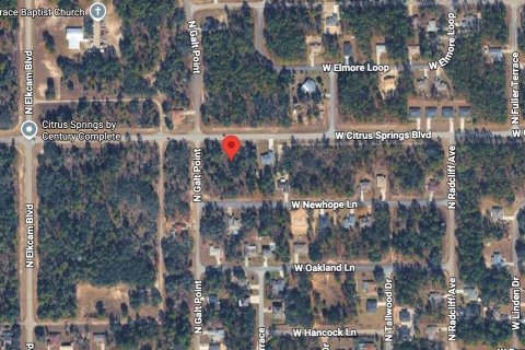 Land in Citrus Springs, Florida № 2213951 - photo 10