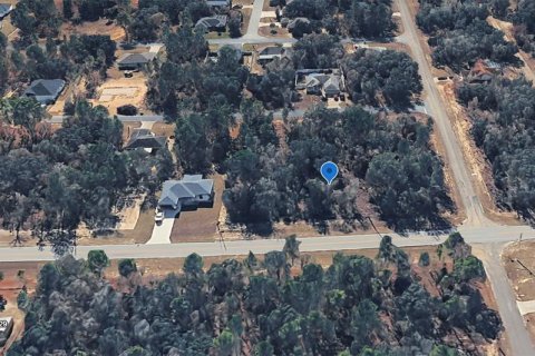 Land in Citrus Springs, Florida № 2213951 - photo 8