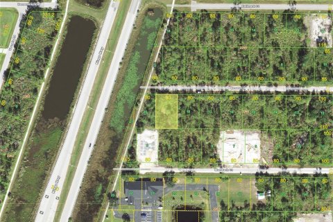 Land in Port Charlotte, Florida № 2216062 - photo 2