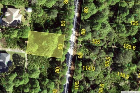 Land in Port Charlotte, Florida № 2159259