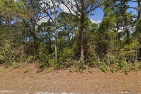 Land in Port Charlotte, Florida № 2159259 - photo 2