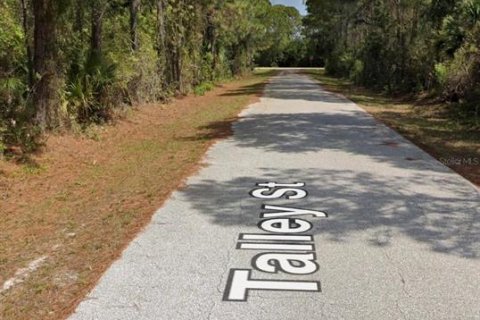 Land in Port Charlotte, Florida № 2159259 - photo 3