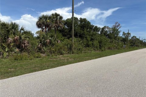 Land in Port Charlotte, Florida № 2201181 - photo 3