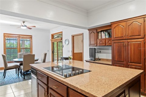 Casa en venta en Tampa, Florida, 4 dormitorios, 454.38 m2 № 1673589 - foto 11