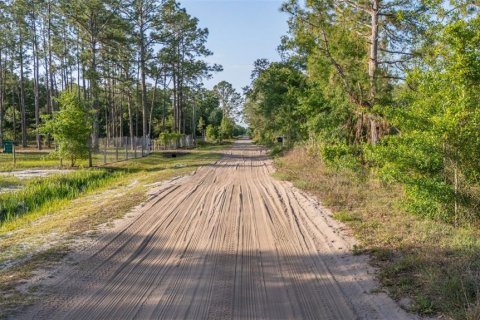 Terreno en venta en Frostproof, Florida № 1628645 - foto 23