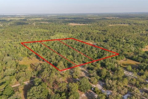 Terreno en venta en Frostproof, Florida № 1628645 - foto 7
