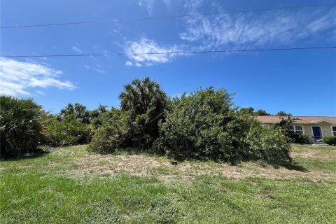 Land in Port Charlotte, Florida № 2159607 - photo 3