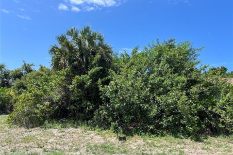 Land in Port Charlotte, Florida № 2159607 - photo 2