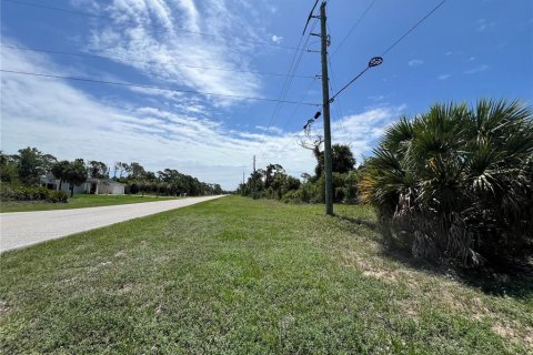 Land in Port Charlotte, Florida № 2159607 - photo 4