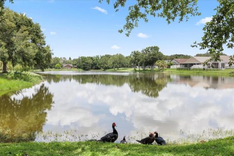 Casa en alquiler en Riverview, Florida, 3 dormitorios, 164.34 m2 № 1908785 - foto 29