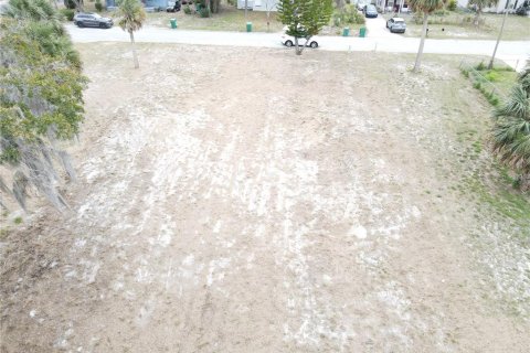 Купить земельный участок в Юстис, Флорида № 2095822 - фото 11