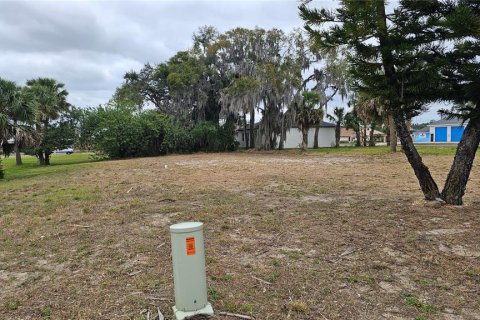 Land in Eustis, Florida № 2095822