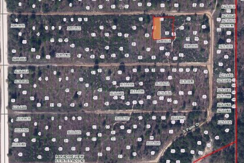 Land in Interlachen, Florida № 2160203 - photo 2