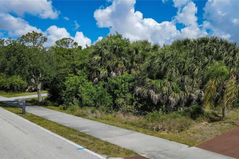 Land in Punta Gorda, Florida № 2159012 - photo 8