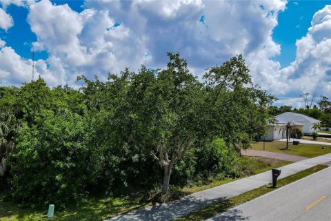 Land in Punta Gorda, Florida № 2159012 - photo 7
