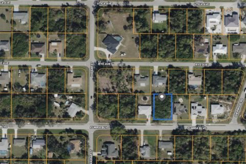 Land in Punta Gorda, Florida № 2159012 - photo 9