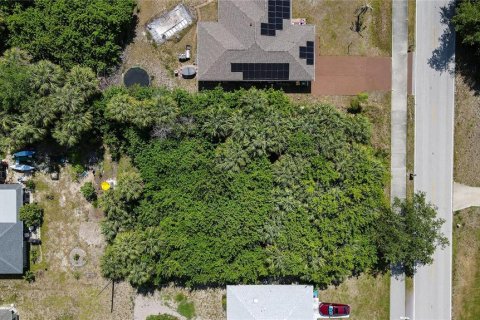 Land in Punta Gorda, Florida № 2159012 - photo 5