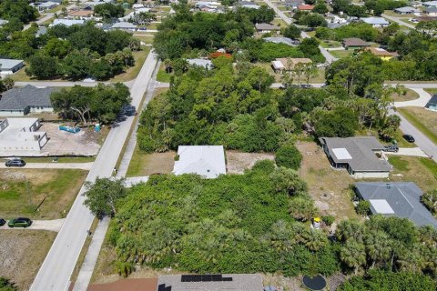 Land in Punta Gorda, Florida № 2159012 - photo 3