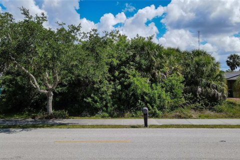 Land in Punta Gorda, Florida № 2159012 - photo 6
