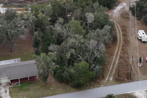 Land in Floral City, Florida № 2160005 - photo 12