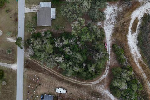 Land in Floral City, Florida № 2160005 - photo 5