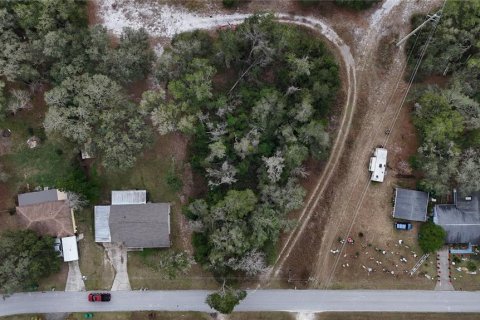 Land in Floral City, Florida № 2160005 - photo 4