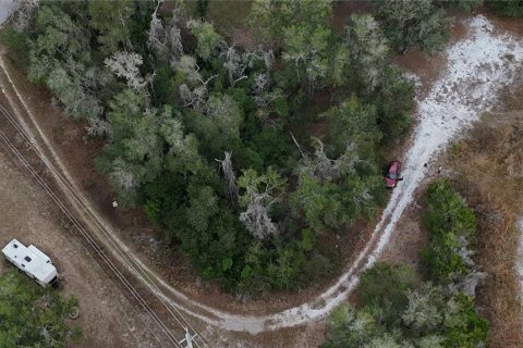Land in Floral City, Florida № 2160005 - photo 22