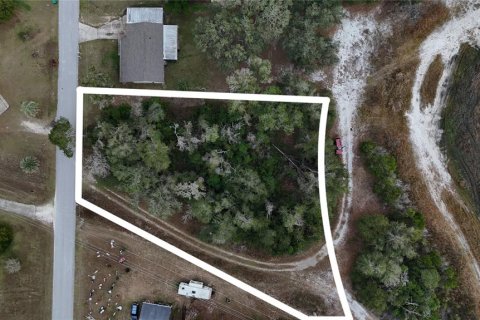 Land in Floral City, Florida № 2160005 - photo 2