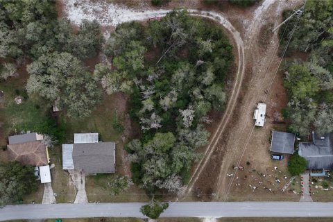 Land in Floral City, Florida № 2160005 - photo 3