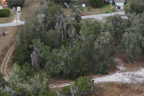 Land in Floral City, Florida № 2160005 - photo 10