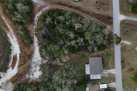 Land in Floral City, Florida № 2160005 - photo 20