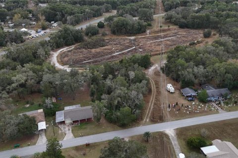 Land in Floral City, Florida № 2160005 - photo 13