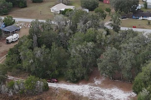 Land in Floral City, Florida № 2160005 - photo 25