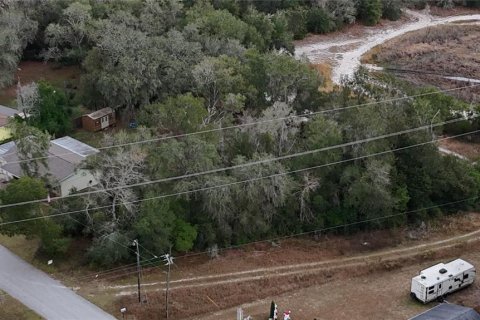 Land in Floral City, Florida № 2160005 - photo 14