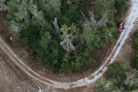 Land in Floral City, Florida № 2160005 - photo 23