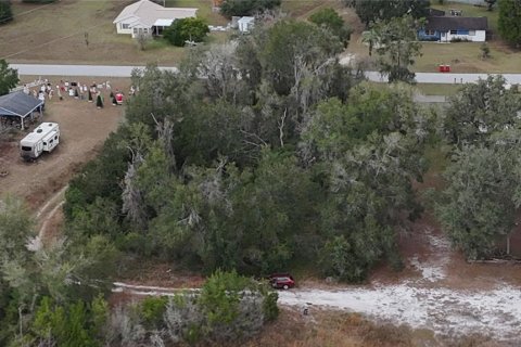 Land in Floral City, Florida № 2160005 - photo 24